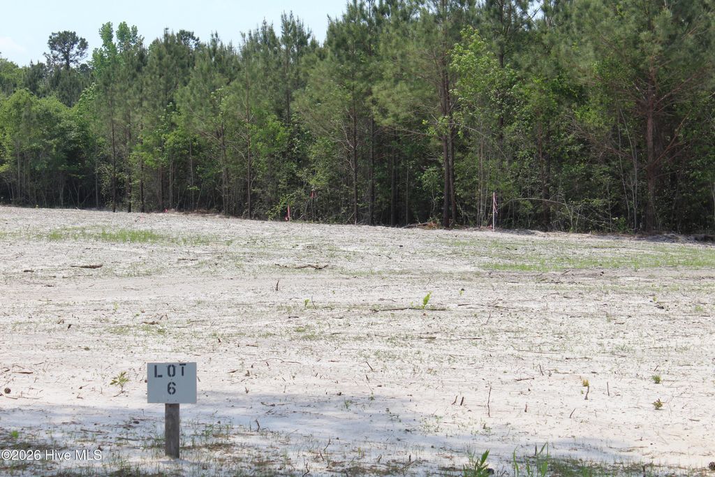 Photo of 958 Blind Bridge Road, Magnolia, NC 28453 (MLS # 100569721)