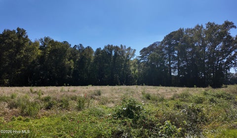 Vacant Land For Sale - 1 Rivenbark Road<br/> Wallace, NC 28466
