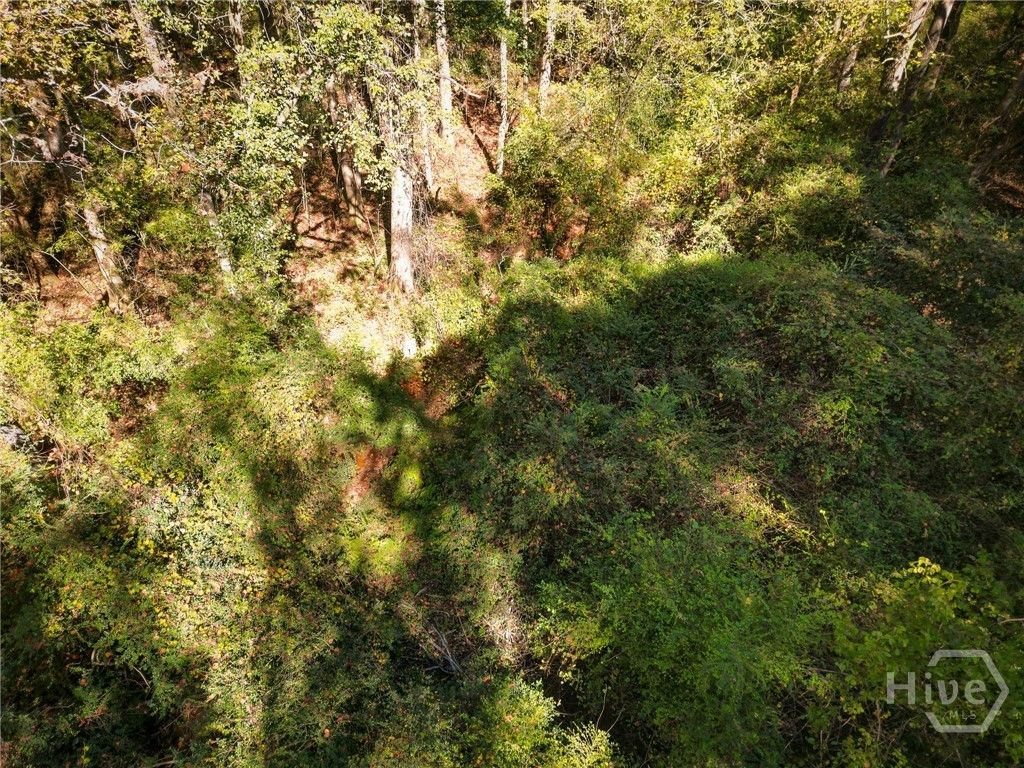 Photo of 1092 Cooper Gin Road, Statham, GA 30666 (MLS # CL348580)