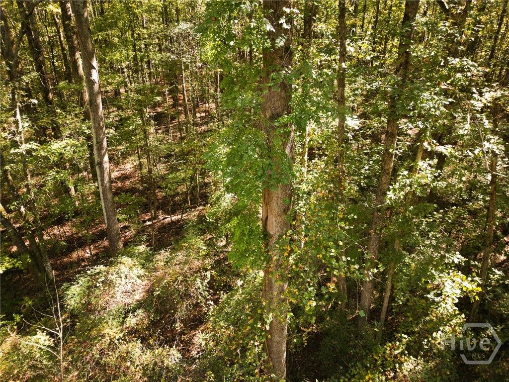 Photo of 1092 Cooper Gin Road, Statham, GA 30666 (MLS # CL348580)