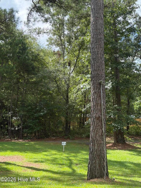 Tiny photo for 2529 Mary Frances Court NE, Bolivia, NC 28422 (MLS # 100597226)