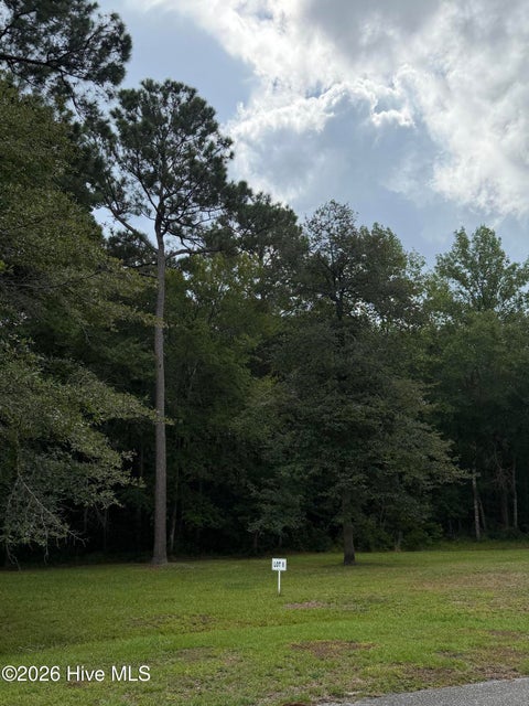 Tiny photo for 2529 Mary Frances Court NE, Bolivia, NC 28422 (MLS # 100597226)