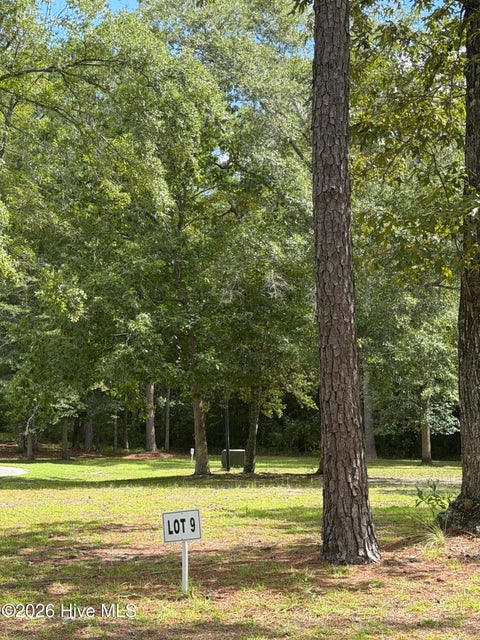 Tiny photo for 2529 Mary Frances Court NE, Bolivia, NC 28422 (MLS # 100597226)