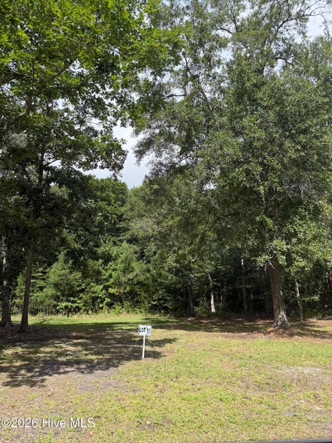 Tiny photo for 2529 Mary Frances Court NE, Bolivia, NC 28422 (MLS # 100597226)