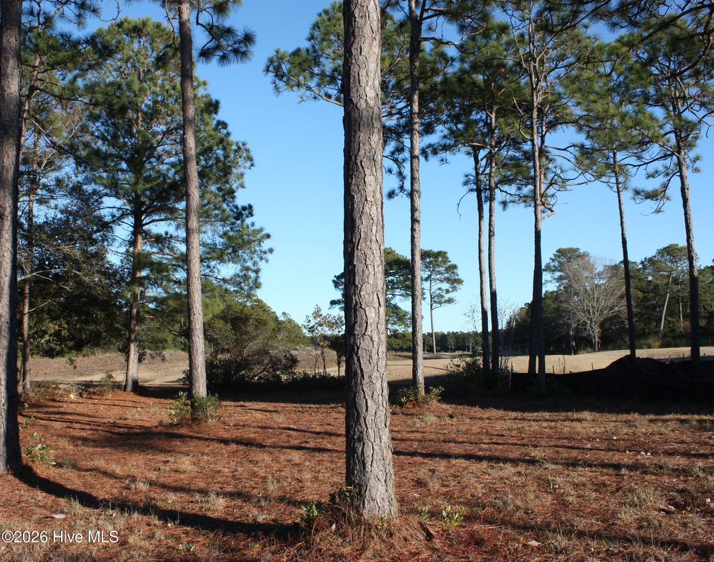 Photo of 608 Barrington Place SW, Ocean Isle Beach, NC 28469 (MLS # 100550415)