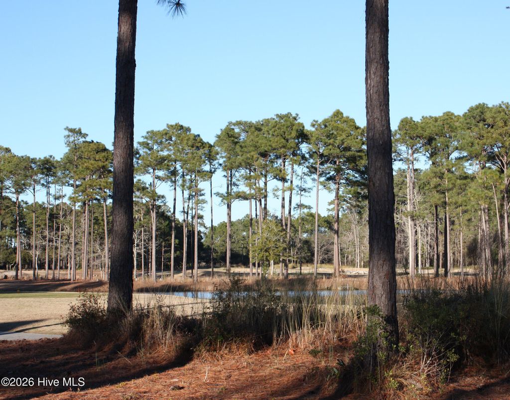 Photo of 608 Barrington Place SW, Ocean Isle Beach, NC 28469 (MLS # 100550415)