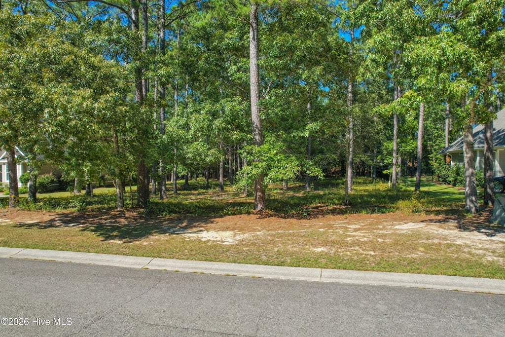 Photo of 176 Lockhaven Drive SE, Bolivia, NC 28422 (MLS # 100609205)