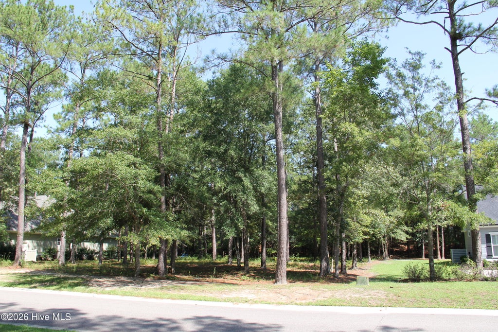 Photo of 168 Lockhaven Drive SE, Bolivia, NC 28422 (MLS # 100599420)