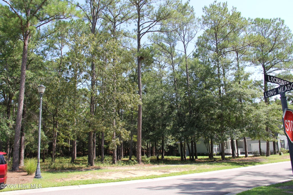 Photo of 168 Lockhaven Drive SE, Bolivia, NC 28422 (MLS # 100599420)