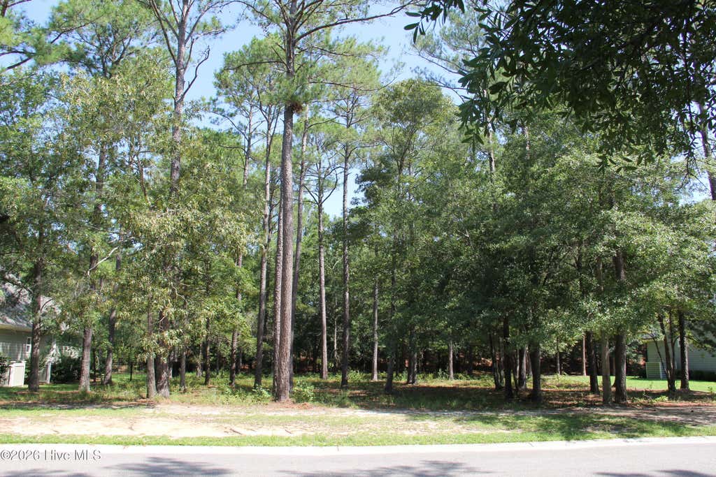Photo of 168 Lockhaven Drive SE, Bolivia, NC 28422 (MLS # 100599420)