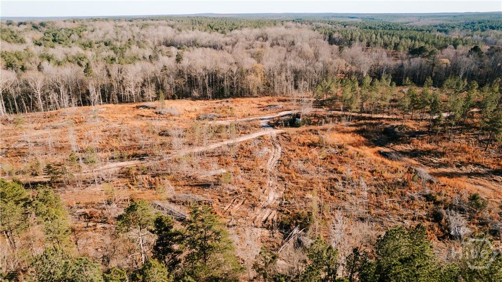 Photo of 0 Washington Road, Lexington, GA 30648 (MLS # CL345200)