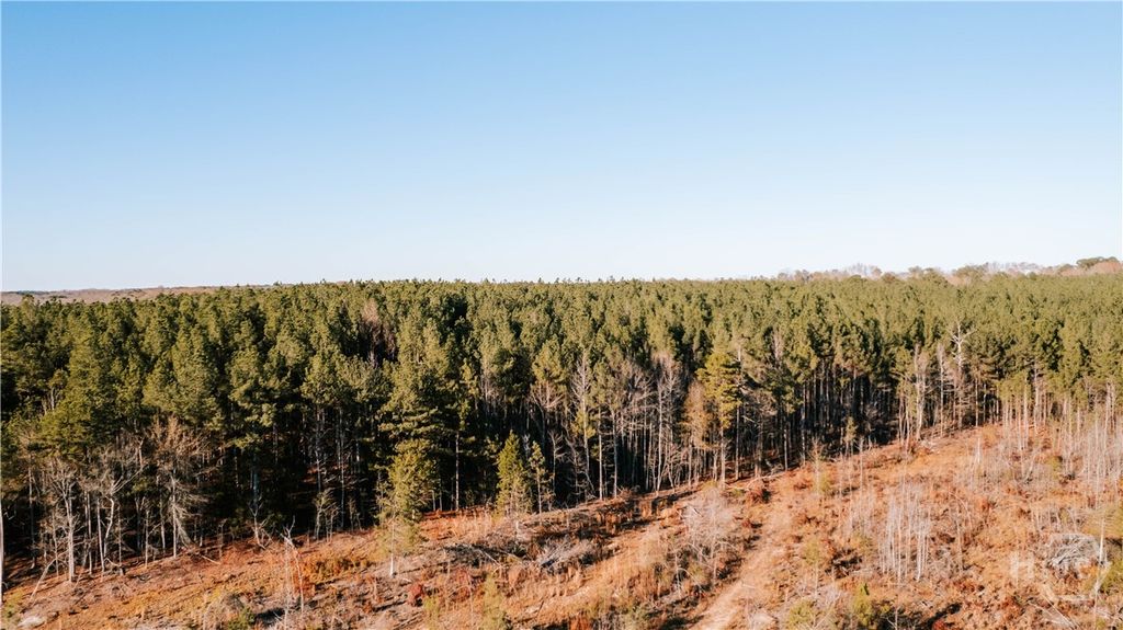 Photo of 0 Washington Road, Lexington, GA 30648 (MLS # CL345200)