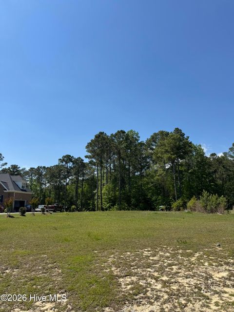 Tiny photo for 405 Palustris Court, Holly Ridge, NC 28445 (MLS # 100568180)
