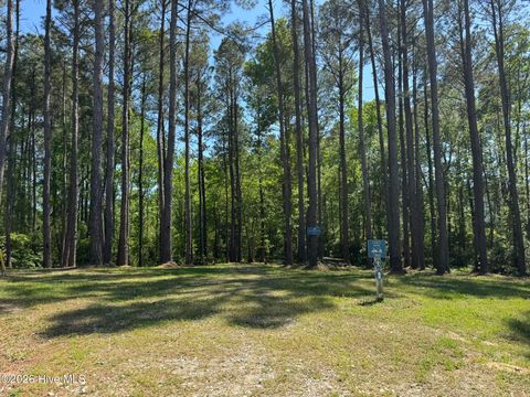 Tiny photo for 405 Palustris Court, Holly Ridge, NC 28445 (MLS # 100568180)