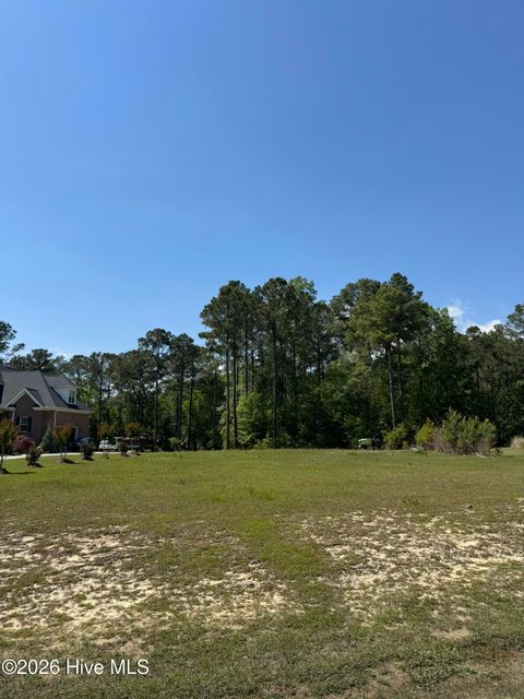 Tiny photo for 405 Palustris Court, Holly Ridge, NC 28445 (MLS # 100568180)
