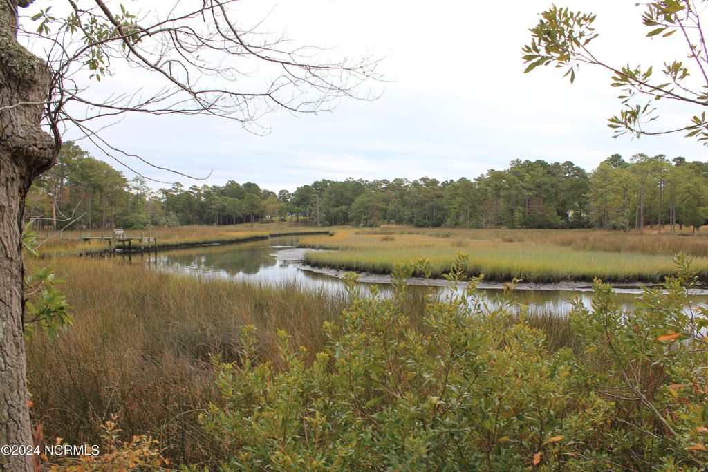 Photo of 407 Salt Creek Road, Swansboro, NC 28584 (MLS # 100473101)