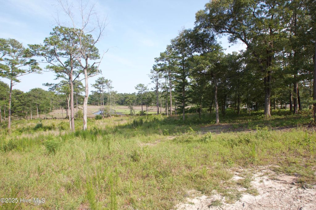 Photo of 407 Salt Creek Road, Swansboro, NC 28584 (MLS # 100473101)