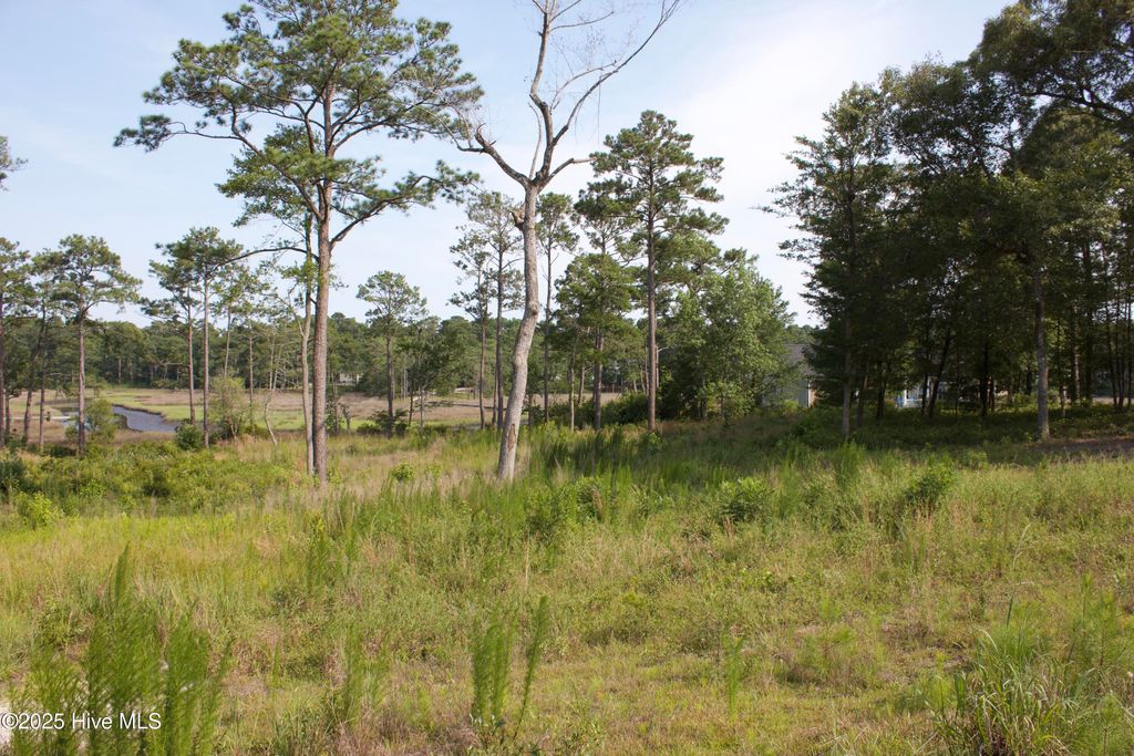 Photo of 407 Salt Creek Road, Swansboro, NC 28584 (MLS # 100473101)