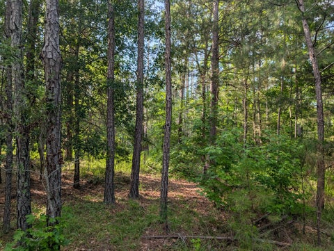 Vacant Land For Sale - 3079 Marshall Road<br/> Appling, GA 30802