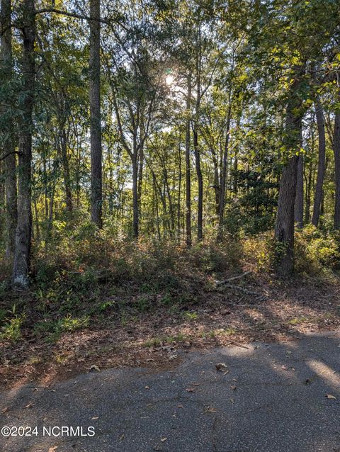 Vacant Land For Sale - 5 Leggett Street<br/> Robersonville, NC 27871