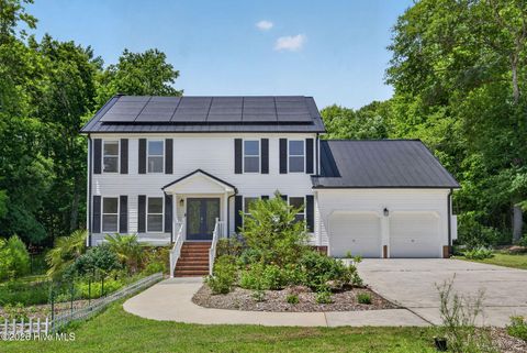 Photo of 110 Spring Creek Lane, Wilmington, NC 28411 (MLS # 100577275)