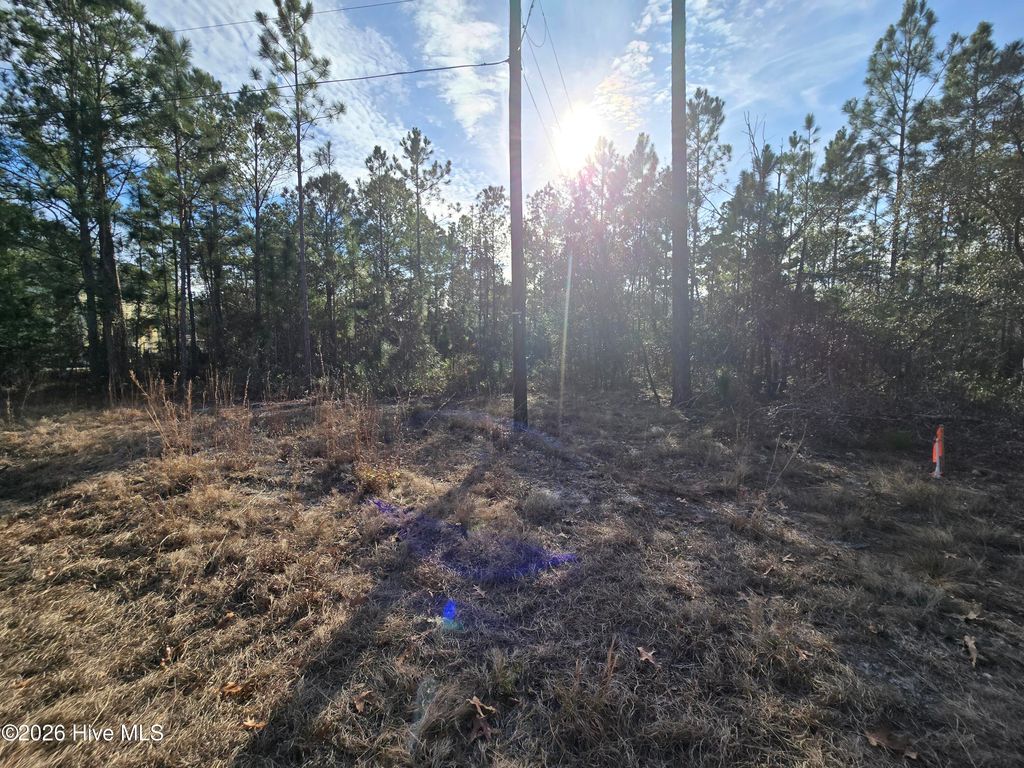 Photo of Lot C Harper Lake Dr Drive, Southport, NC 28461 (MLS # 100550542)