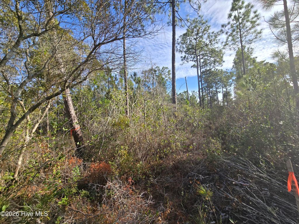 Photo of Lot C Harper Lake Dr Drive, Southport, NC 28461 (MLS # 100550542)