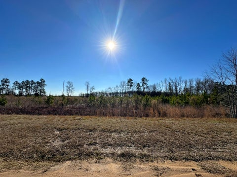Vacant Land For Sale - LOT 6 Triangle Road<br/> Louisville, GA 30434