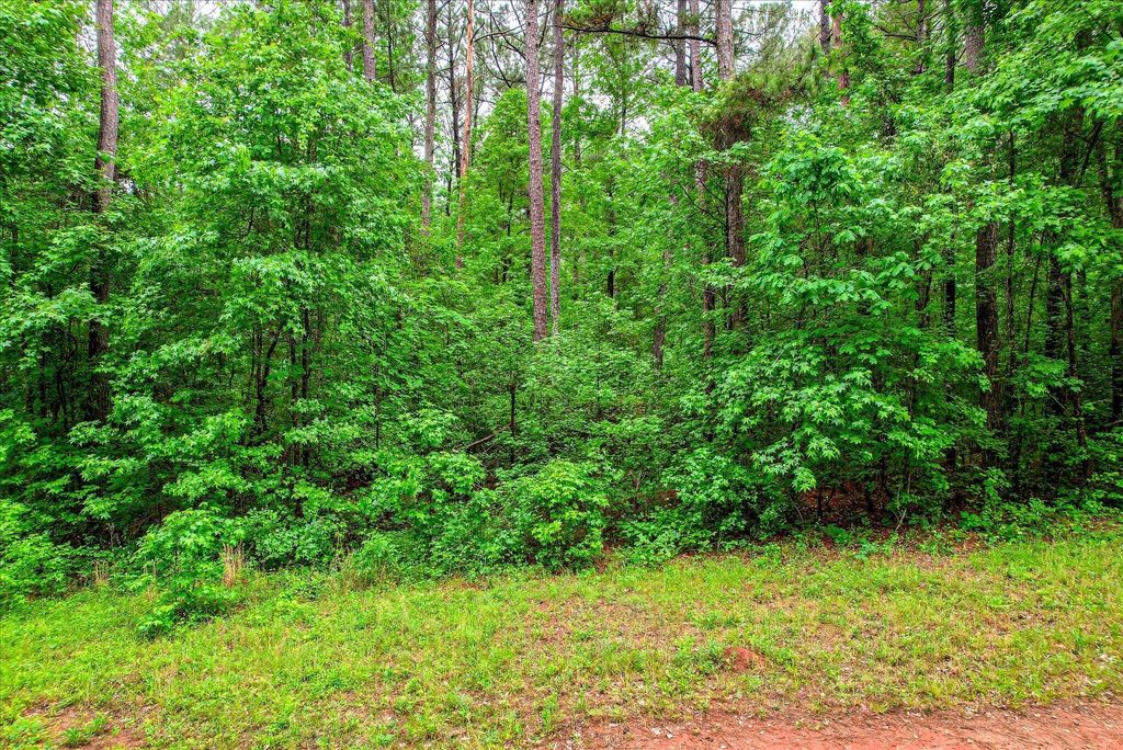 Photo of 1622 Hinton Wilson Road, Harlem, GA 30814 (MLS # 555389)