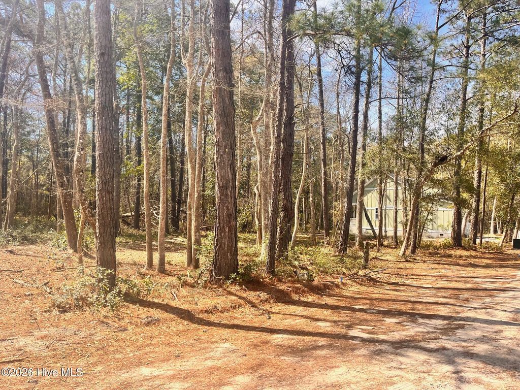 Photo of 569 3rd Street SE, Bolivia, NC 28422 (MLS # 100561007)