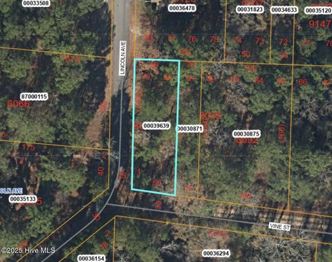 Vacant Land For Sale - TBD Lincoln Avenue<br/> Vass, NC 28394