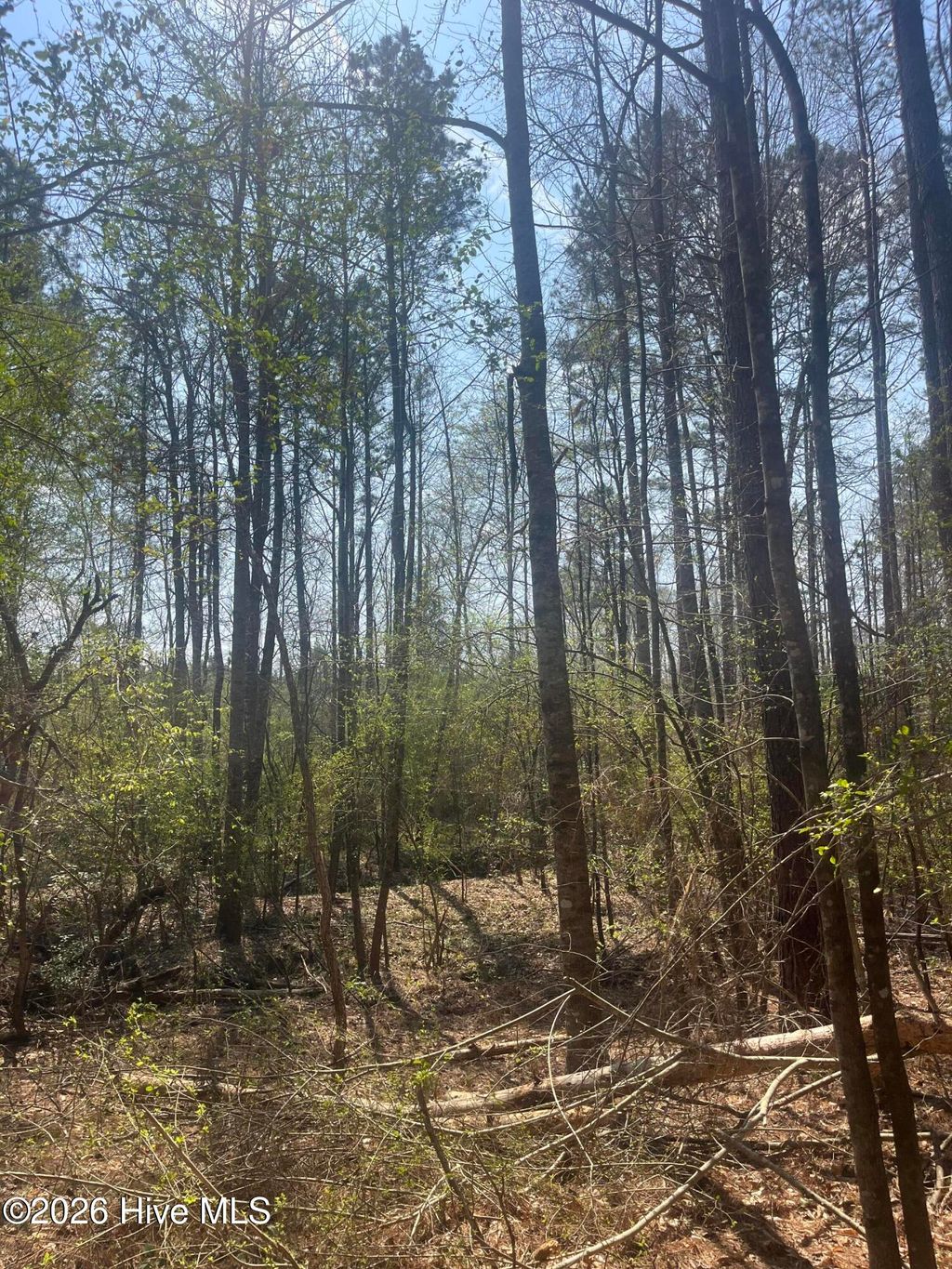 Photo of Tbd Healing Acres Lane, Carthage, NC 28327 (MLS # 100576905)