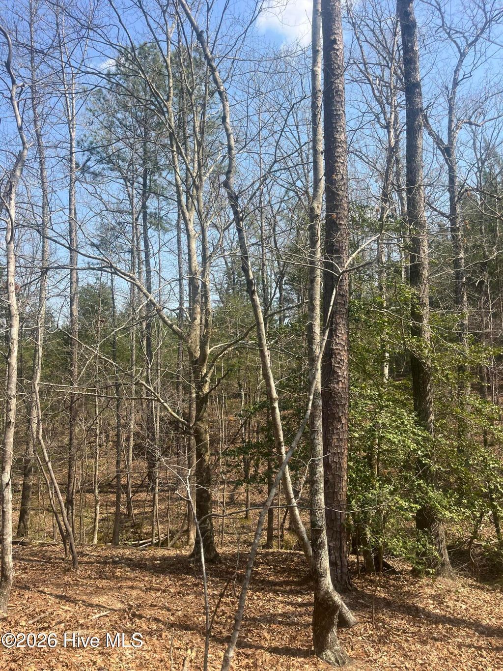 Photo of Tbd Healing Acres Lane, Carthage, NC 28327 (MLS # 100576905)