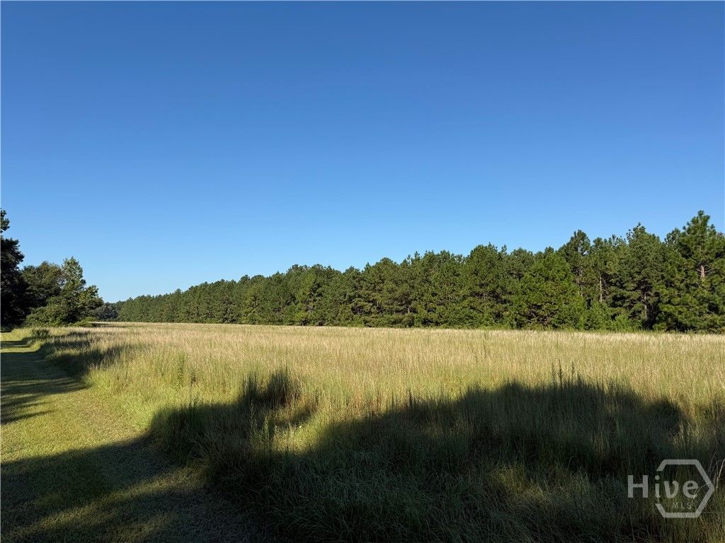 Photo of 0 Sunbury Road #Tract 4, Claxton, GA 30417 (MLS # SA339073)