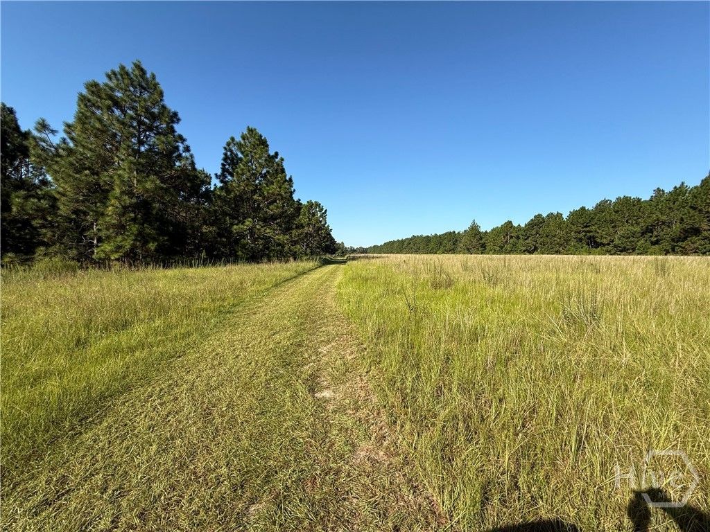 Photo of 0 Sunbury Road #Tract 4, Claxton, GA 30417 (MLS # SA339073)