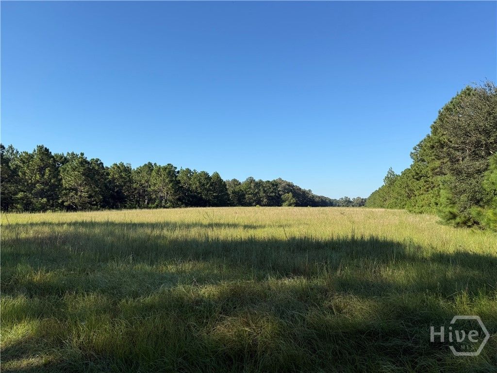 Photo of 0 Sunbury Road #Tract 4, Claxton, GA 30417 (MLS # SA339073)