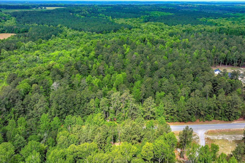 Photo of 4985 Harlem Wrens Road, Harlem, GA 30814 (MLS # 555194)