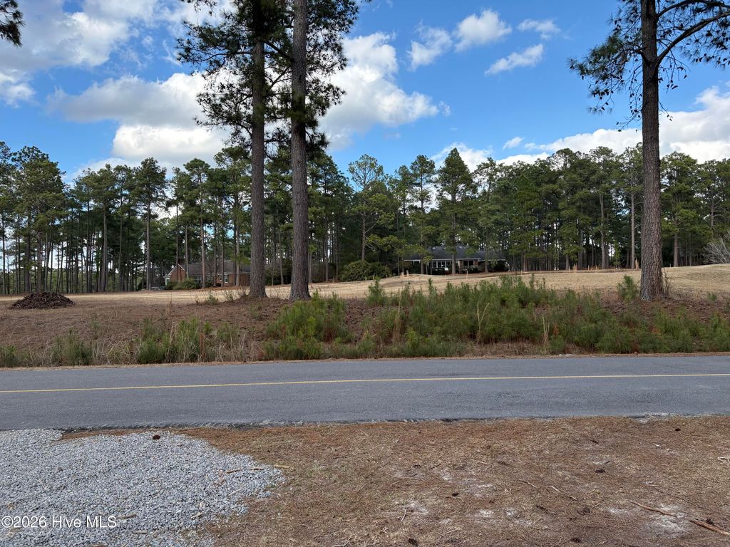 Photo of 40 S Shamrock Drive, Jackson Springs, NC 27281 (MLS # 100560436)