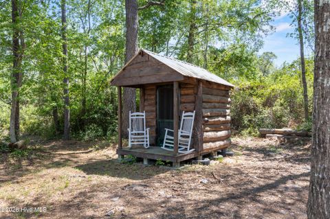 Tiny photo for 41 Angel Oaks Court, Hampstead, NC 28443 (MLS # 100567962)