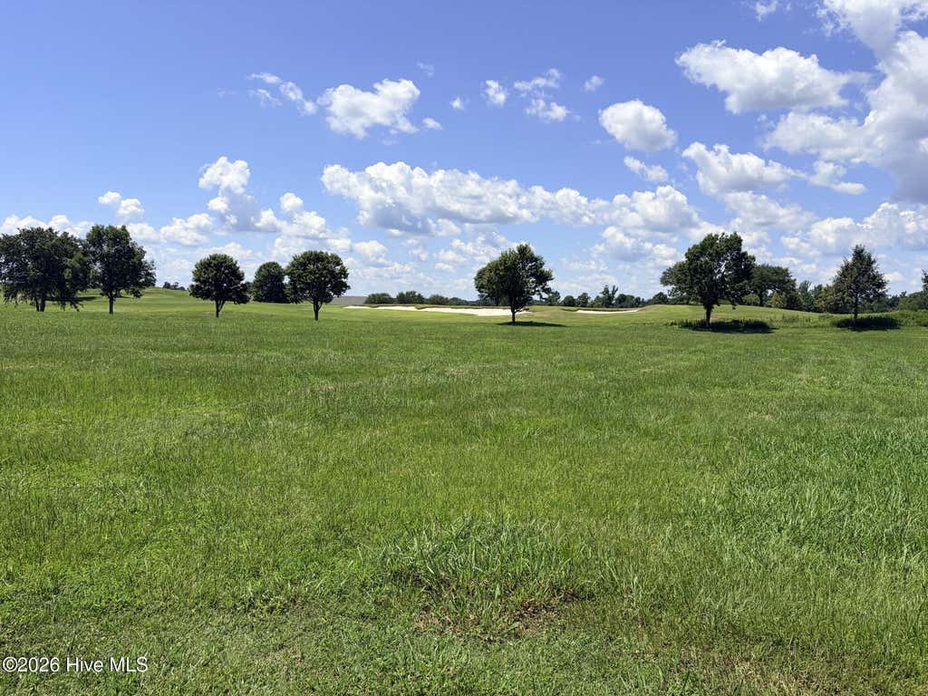Photo of 104106 Regency Circle, Merry Hill, NC 27957 (MLS # 100598069)