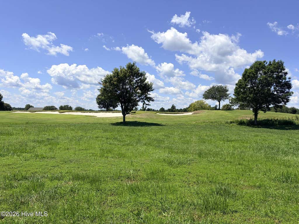 Photo of 104106 Regency Circle, Merry Hill, NC 27957 (MLS # 100598069)