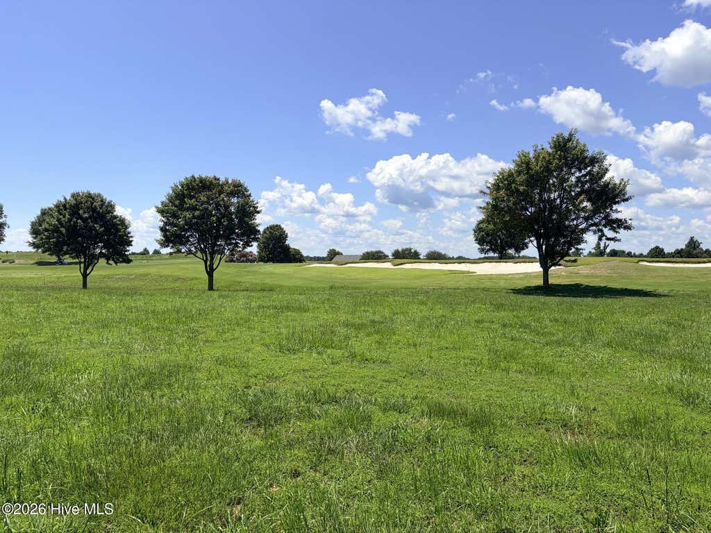 Photo of 104106 Regency Circle, Merry Hill, NC 27957 (MLS # 100598069)