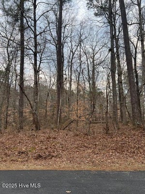 110 DOGWOOD DR, HERTFORD, NC 27944 - Image af21db96fb28e6e258c332dba19dee65/961961850