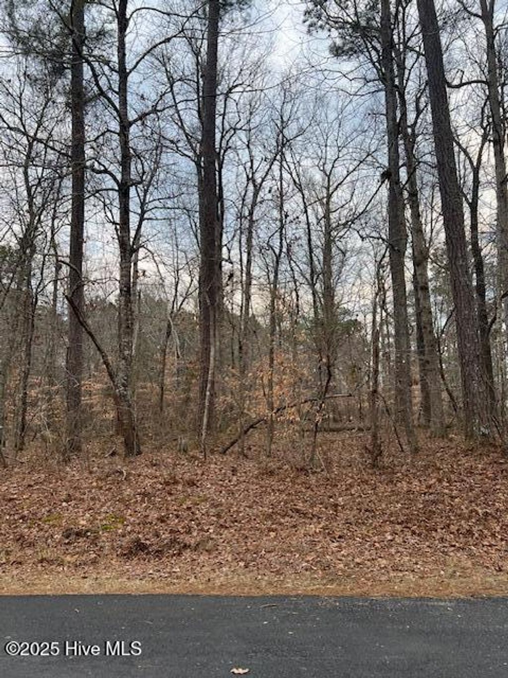 Photo of 00 Dogwood Dr., Hertford, NC 27944 (MLS # 100491256)