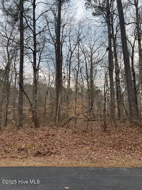 00 Dogwood Dr. Dr