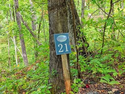 Vacant Land For Sale - LOT 21 Skyview<br/> Hayesville, NC 28904