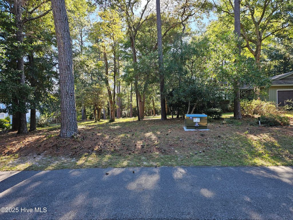 Photo of 3239 Marsh View Drive, Supply, NC 28462 (MLS # 100538007)