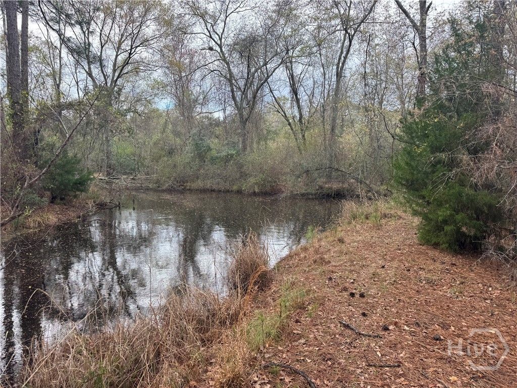 Photo of 227 Raymond Street, Statesboro, GA 30458 (MLS # SA351147)