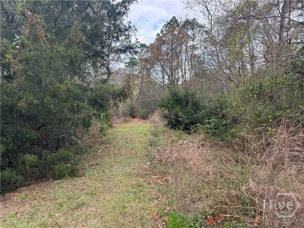 Photo of 227 Raymond Street, Statesboro, GA 30458 (MLS # SA351147)