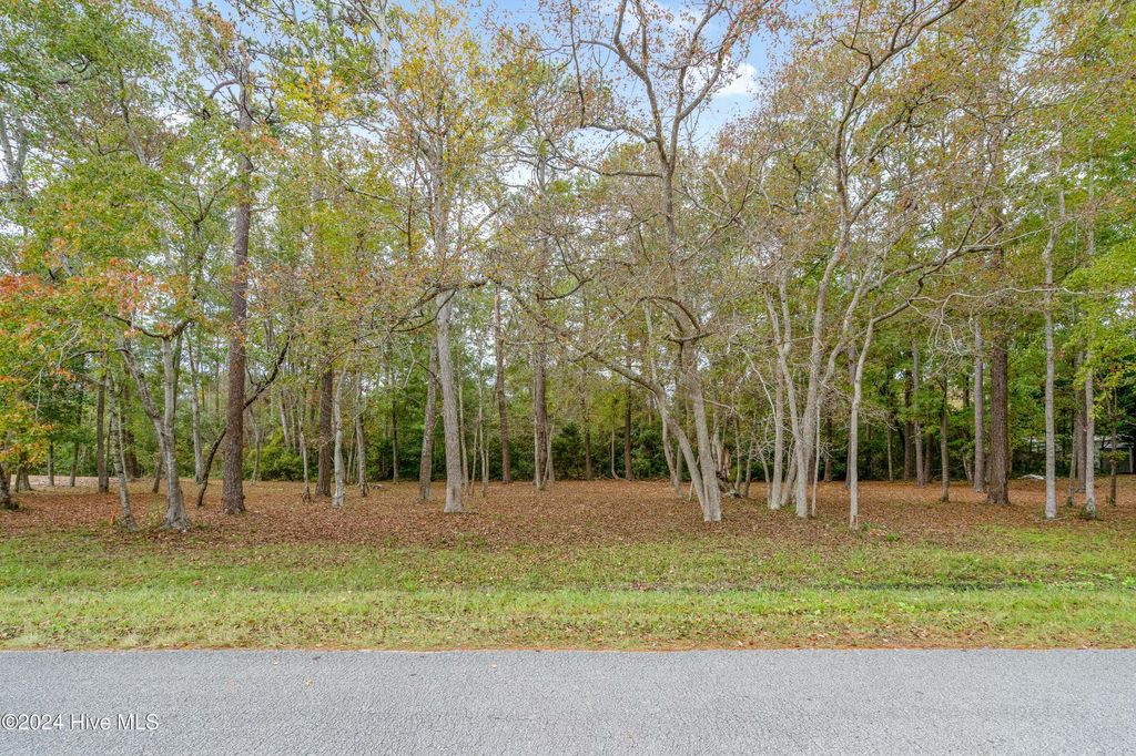 Photo of 1826 Oak Street SW, Ocean Isle Beach, NC 28469 (MLS # 100476384)